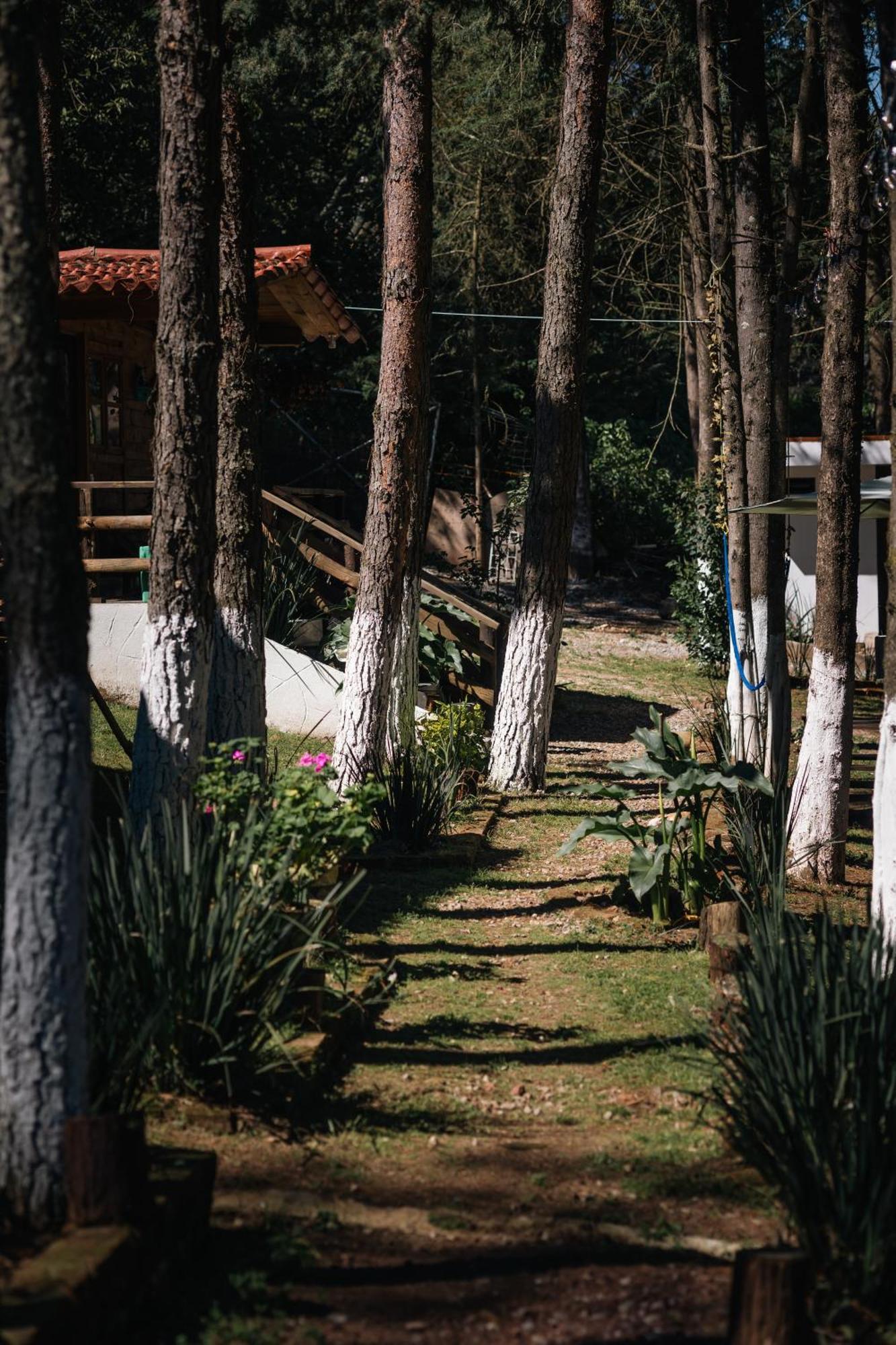 El Descanso Casa-Hotel Zacatlan. Exterior photo
